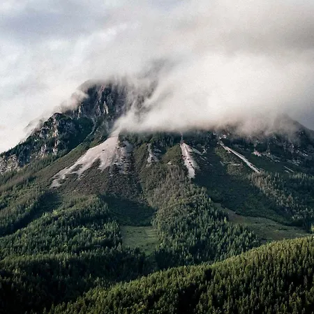 Διαμέρισμα 21trees Ellmau