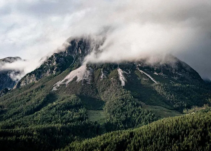 Apartment 21trees Ellmau