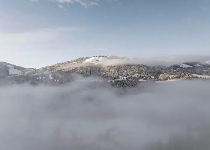 Apartment 21trees Ellmau