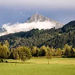 21trees